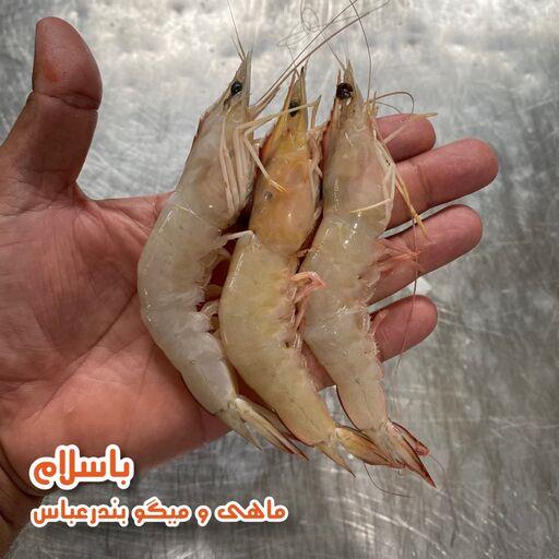 میگو پاک شده سایز درشت ( 41 -50 ) تازه و صید روز بندرعباس (1کیلوگرم)